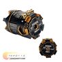 Double Down 17.5T Outlaw Brushless Motor with TEP1149 Rotor